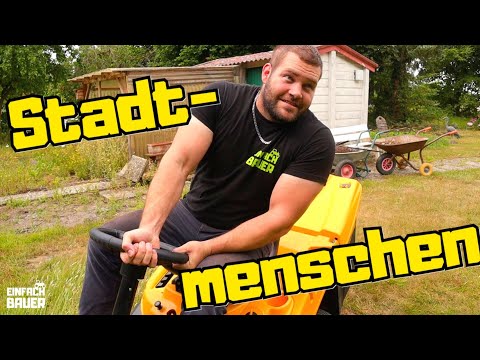 City Person in the Countryside - Mowing the Lawn, The Swallow