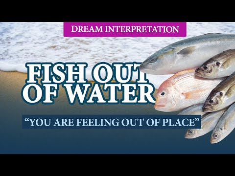 Dream About Fish Out of Water - Spiritual Meaning (3 Interpretations)