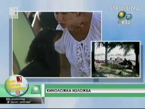 Black Sea Winner CACIB dog show Albena 01-08.2011