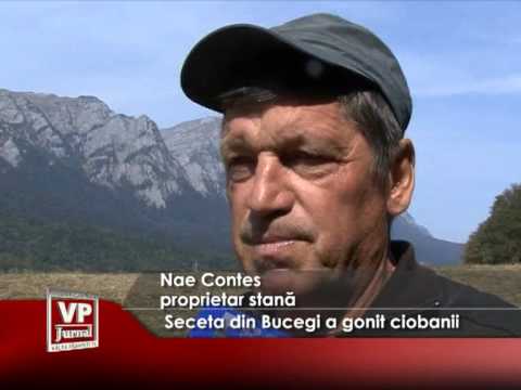 SECETA DIN BUCEGI A GONIT CIOBANII