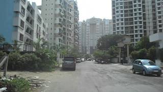 Progressive Highness