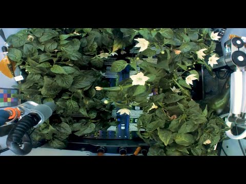 Our World: Systems to Grow Plants in Space