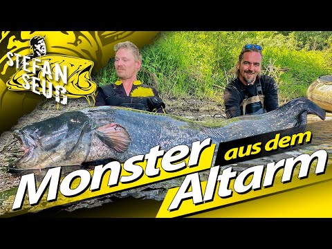 Monster catfish in the oxbow lake | Catfish fishing in still waters | Attention water sports enth...
