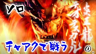 【ソロ】チャアクVSテオ・テスカトル①【MHR】