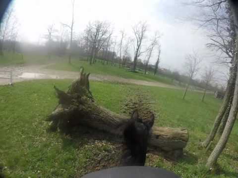 Gelände-Training Stadl Paura April 2016 - Teil 1