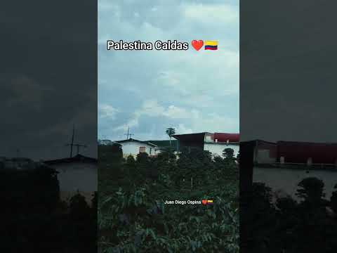 Palestina Caldas, No Te Vayas Sin Seguirme Muchas Gracias ❤️🇨🇴