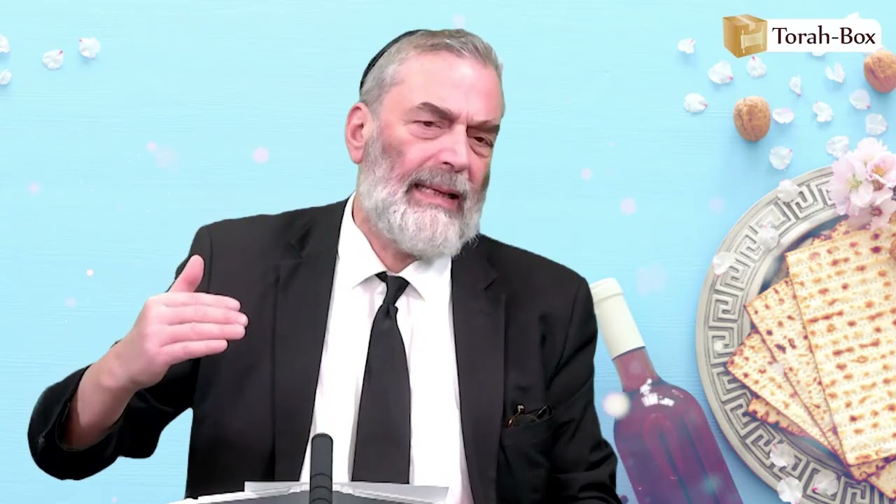 KIT DE SURVIE POUR LE SÉDER DE PESSA'H