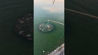 Smashed watermelon + drop net = infinite fish glitch. 1️⃣