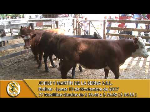 13-11-17 Venta de Hacienda al Kilo - Jorge y Martin de la Serna S.R.L. - Bolivar.