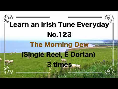123 The Morning Dew (Single Reel, E Dorian)