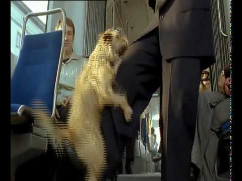 Schwarzfahren lohnt sich nicht