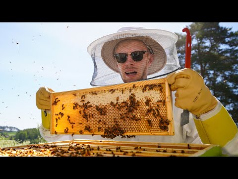 , title : 'Vietin päivän mehiläistarhaajana! (RONI OIKEISSA TÖISSÄ)'