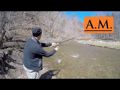 Bronte Creek Provincial Park - Spring