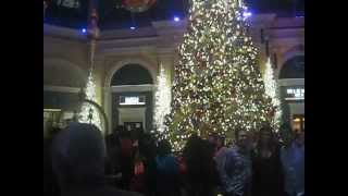 Christmas Display at the Bellagio Conservatory Las Vegas 2014