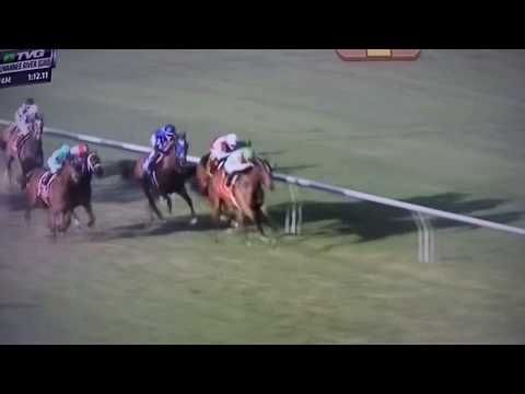 SUWANNEE RIVER (G 3) STAKES 2/10/18 - ELYSEA'S WORLD !!