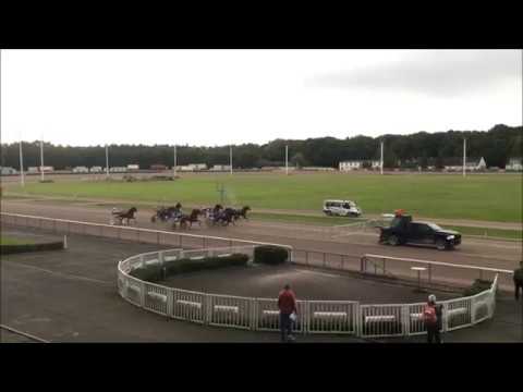 Hamburg Special - Trabrennbahn Bahrenfeld - Pferdewetten