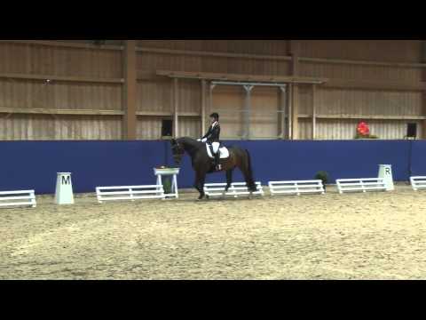 8   Sabine Klenk   Friedolin 36  - www.equideo.tv