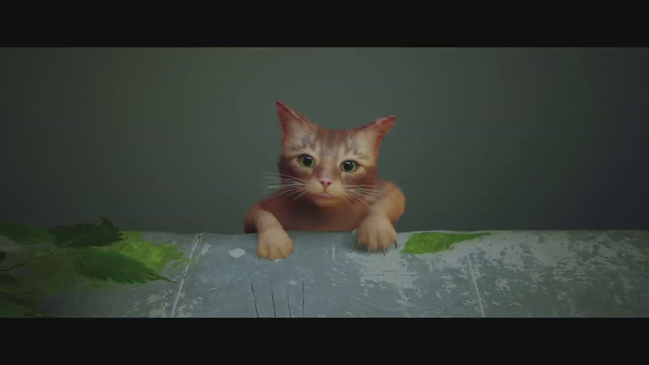 YouTube video: YouTube video player