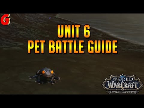 Unit 6 Pet Battle Guide - BFA