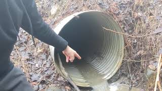 Culvert and Stream size