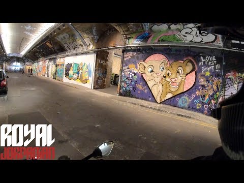 Daily Observations 236