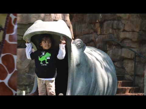 Ashvik - The cute lil star