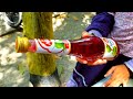 Sirup Manis ABC Special Grade Cocopandan Sirup ABC Paling Manis Rasa Cocopandan