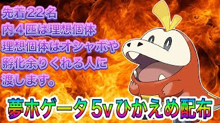 【ポケモンｓｖ】夢ホゲータひかえめ５ｖ配布【なんでもＯＫ】