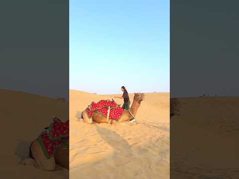 Uth ki madad 🙏🏻😯🥹||zoya sheikh #shorts #youtube #zoyasheikh #registan