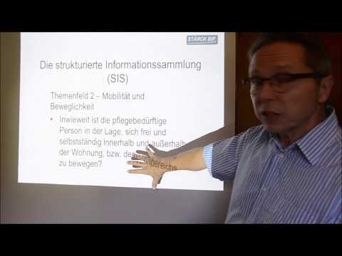 Strukturmodell Teil 2