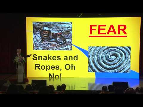 Dr. Jamie Hubbard: Buddhism and the Happiness Industry