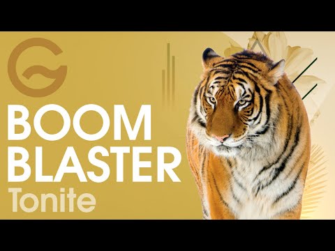 BoomBlaster - Tonite [Official]
