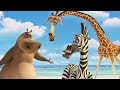 DreamWorks Madagascar San Diego Madagascar Movie Clip Madagascar Kids Movies Kids Videos