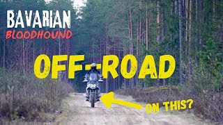 BMW R 1300 GS OFF-ROAD ADVENTURE, Motorcycle travel vlog on the TRANS EURO TRAIL, Estonia Bog trail.