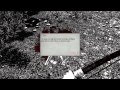 Betrayer - Deep Forest clues, chests, items, graves ...