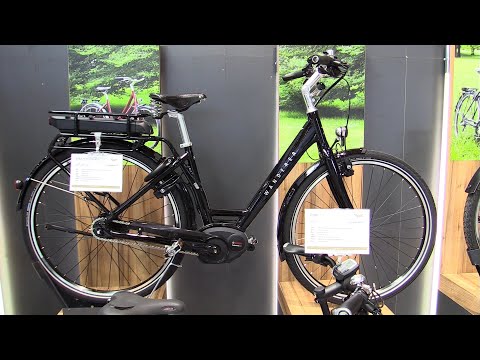 Wanderer E600 Performance Electric Bike Walkaround Tour - 2020 Model