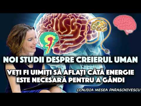 Noi studii despre creierul uman – Veți fi uimiți să aflați câtă energie este necesară  pt a gândi