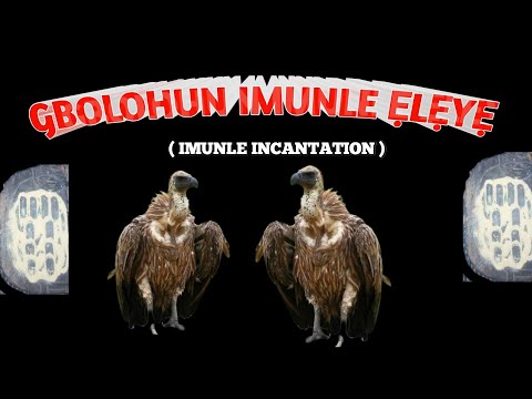 GBOLOHUN IMUNLE ELEYE @Dromoodoagbatv imunle eleye, imunle