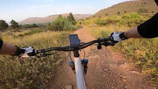 Antelope - Hall Ranch - Lyons - Colorado - Specialized Status