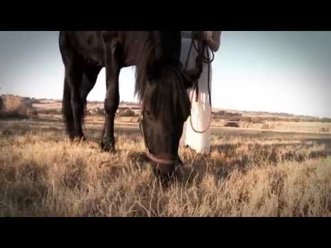 Chrissie Rossouw ft Mac Young  - Piece of my heart  (Official Music Video)