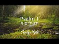 Psalm 1 | Carolyn Hyde | My Delight Day & Night