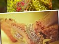 Payali Chunmun Chunmun Romanticwhtasaap Status