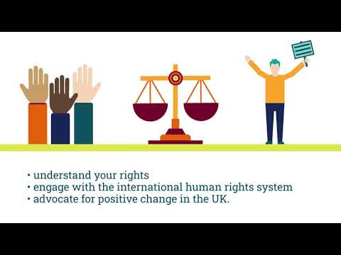 Animation Explainer Video Company | EHRC’s Human Rights Tracker by Pushed Ltd