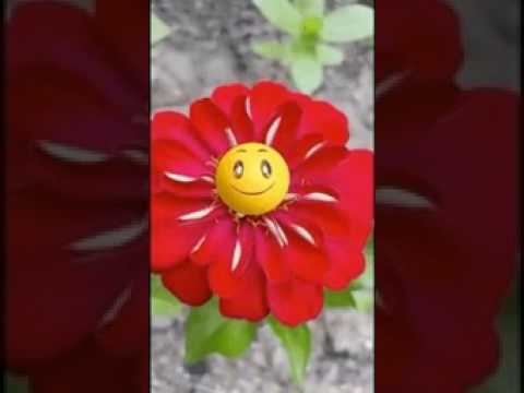 La flor del amor