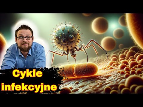 Wirusy | Cykle infekcyjne wirusów | Bakteriofagi | Biologia do matury | Odwrócona Lekcja
