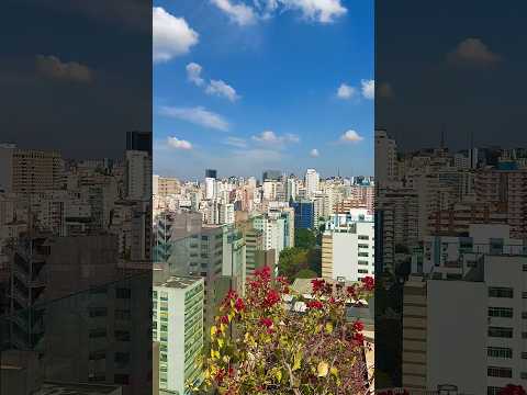 SÃO PAULO - PANORAMA - Higienópolis - Santa Cecília - Centro.