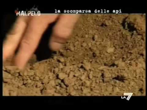 Colonna vertebrale mieloma che cosa è e trattamento Qual è il menisco del ginocchio e come trattare i soldi della gente