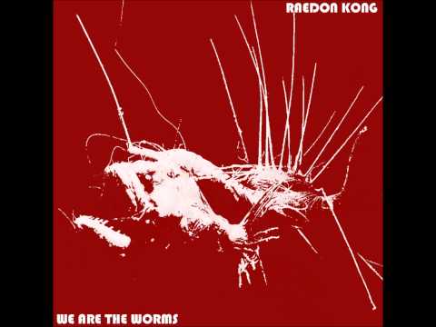 raedon kong - owls