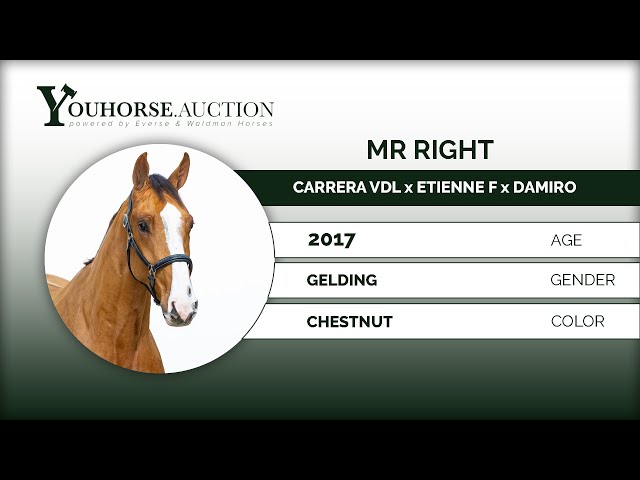 Mr. Right Type & Walk