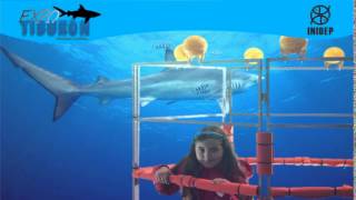 DIA 2 Expo Tiburon16